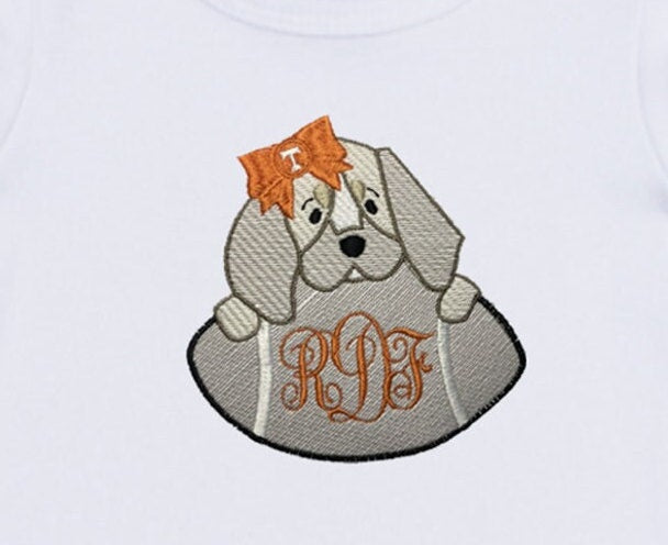 Baby Bluetick Hound embroidered girls' short sleeve orange gingham shorts